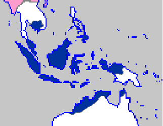 Expansion1.gif