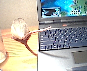 gandalf1.jpg