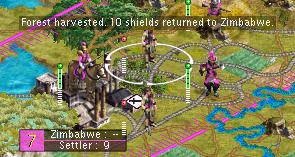 214-forest_ot_zimbabwe.JPG