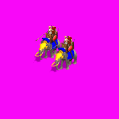 CWERun.gif