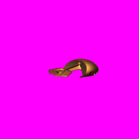 Ferengi_Marauder.gif