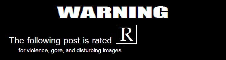 GS_WARNING_ep16.JPG
