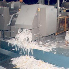 Shred.jpg