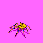 SpiderAttack1.gif