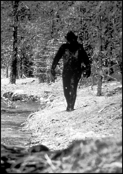 bigfoot-lg.jpg