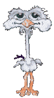 crazybird.gif