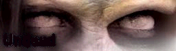 eyes.jpg