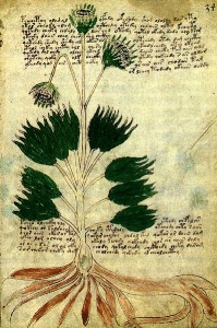 pic14_01.jpg