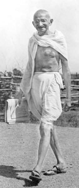 pic20.jpg