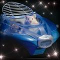 spacehamster.jpeg