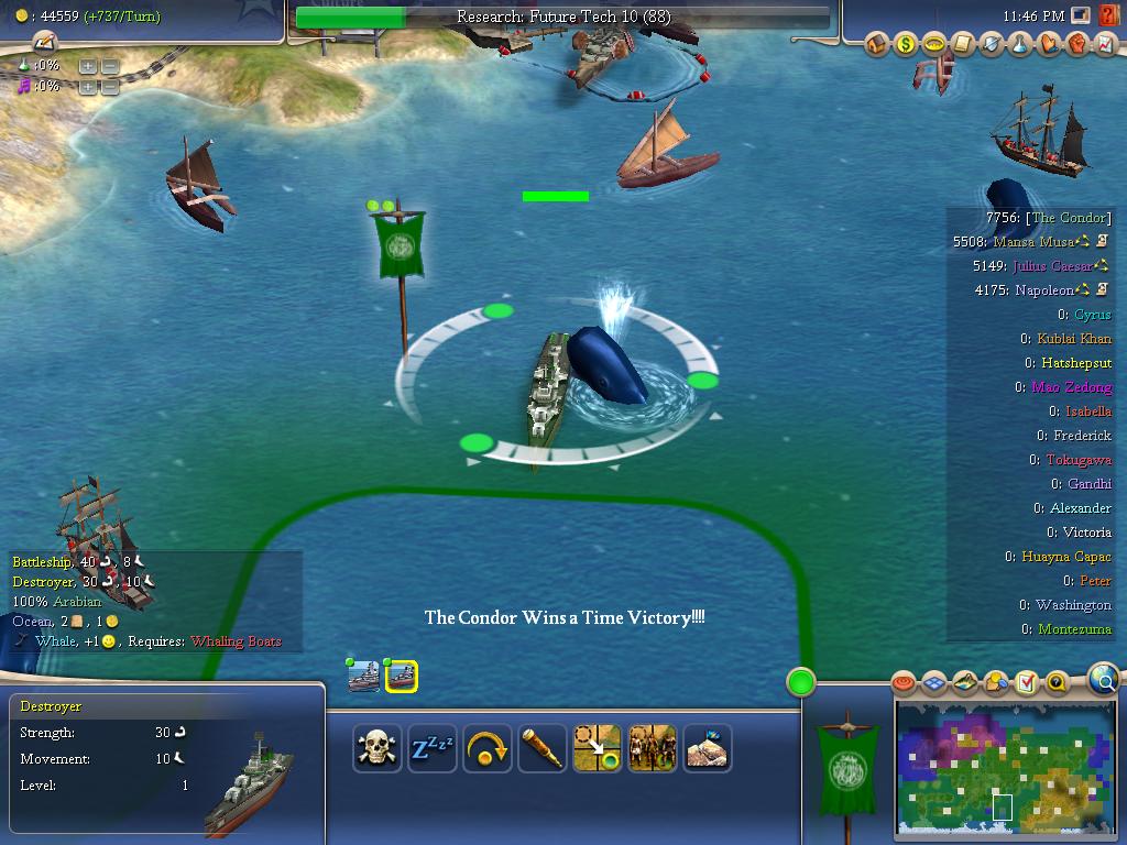 whale.JPG