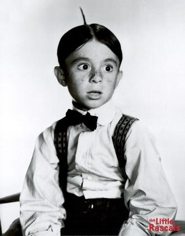 Alfalfa--C10113037.jpg