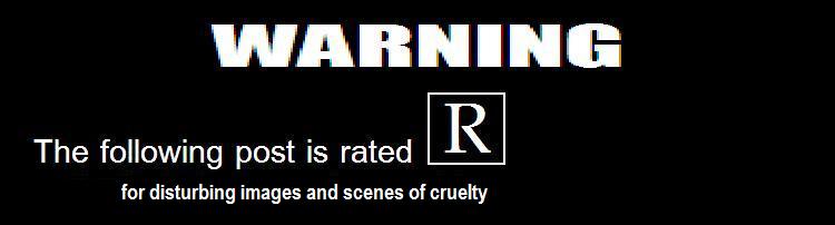 GS_WARNING_ep26.JPG