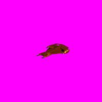 Marauder_DN_demo.gif