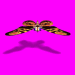 Mothra_demo.gif