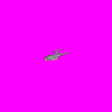 Nova_demo.gif