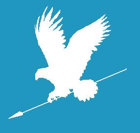 Palmyraflag.JPG
