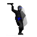 RiotPoliceLG.jpg