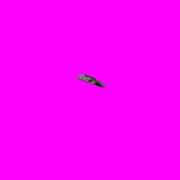 Workman_demo.gif