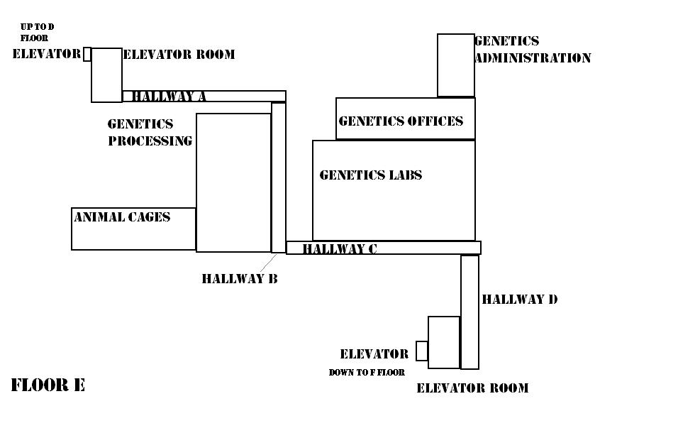 floor_e.JPG