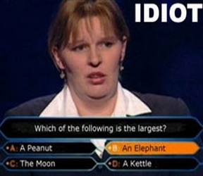 idiot_WMTBAM.jpg