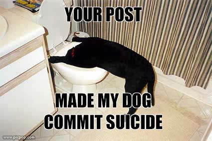 suicidedog.jpg