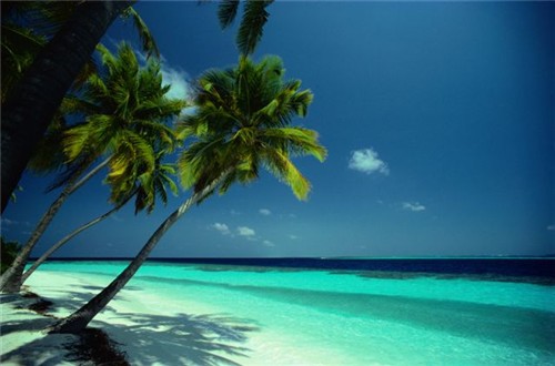 Beach.jpg