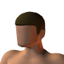 Hair_Short.png