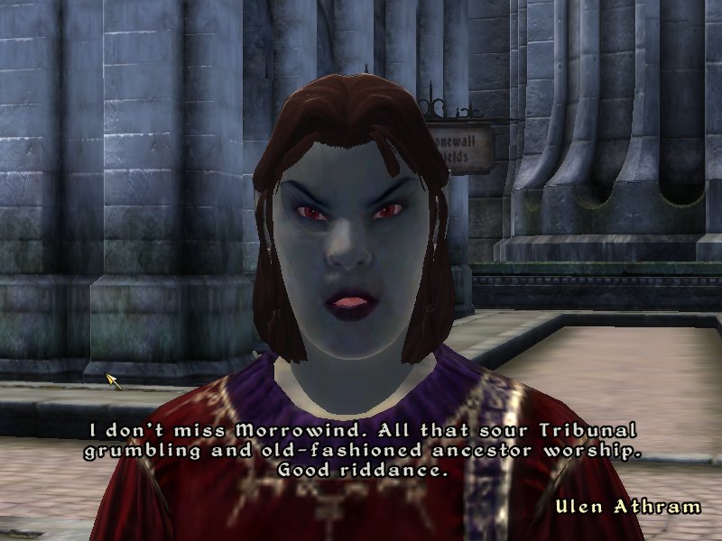 ct_oblivion_day1_morrowindtribute.jpg