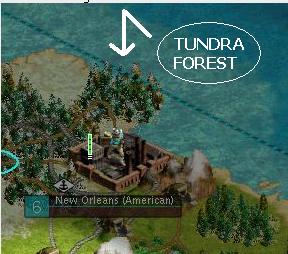tundra.JPG