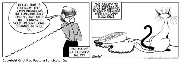 Sparrowhawk_Felinity.jpg