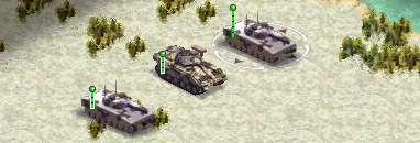 CV9040.jpg