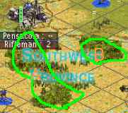 Forest_byfinal.jpg