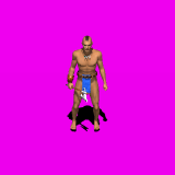 IW.gif