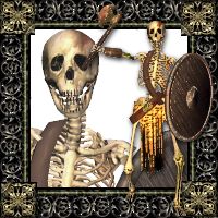 Skeleton.jpg
