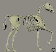 hskel.gif