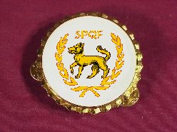DG3_AidetoVPBadge.jpg