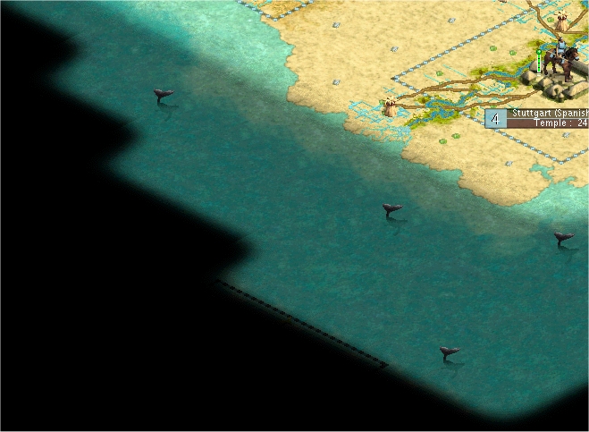 K8.jpg