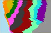 naboo_gotm20_finalhistogram.jpg