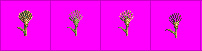 resources-barley.jpg