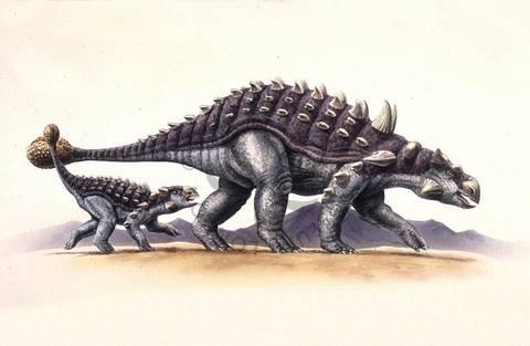Ankylosaurus.jpg