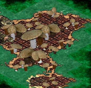 Fungi.jpg