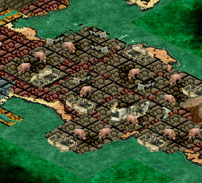 Wasteground.jpg