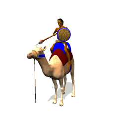 camelrider.jpg