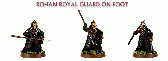 rohan_royal_guard_on_foot.gif