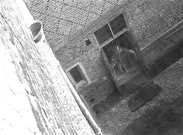 031219_hampton_court_hmed10a.hmedium.jpg