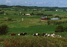 Land.png