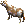 cow.gif