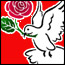 dove.jpg