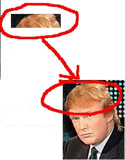 exhibit_a.JPG